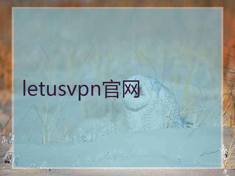letusvpn官网