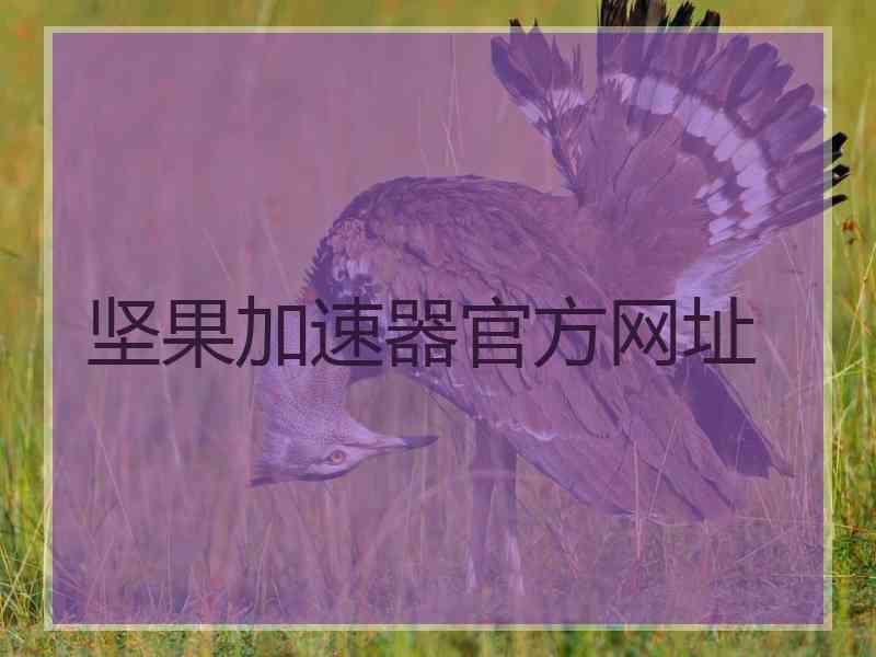 坚果加速器官方网址