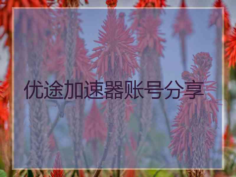 优途加速器账号分享