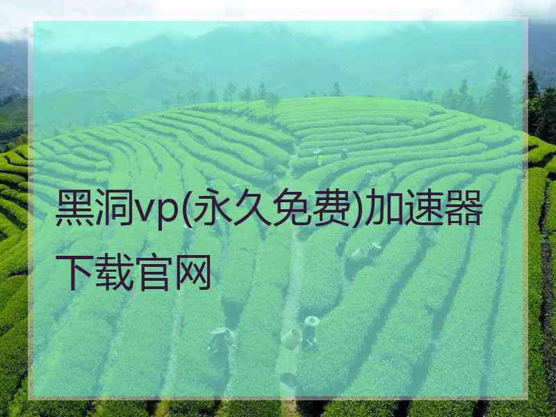 黑洞vp(永久免费)加速器下载官网