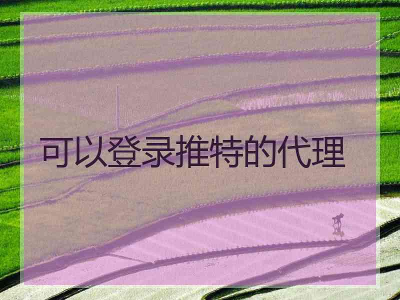 可以登录推特的代理