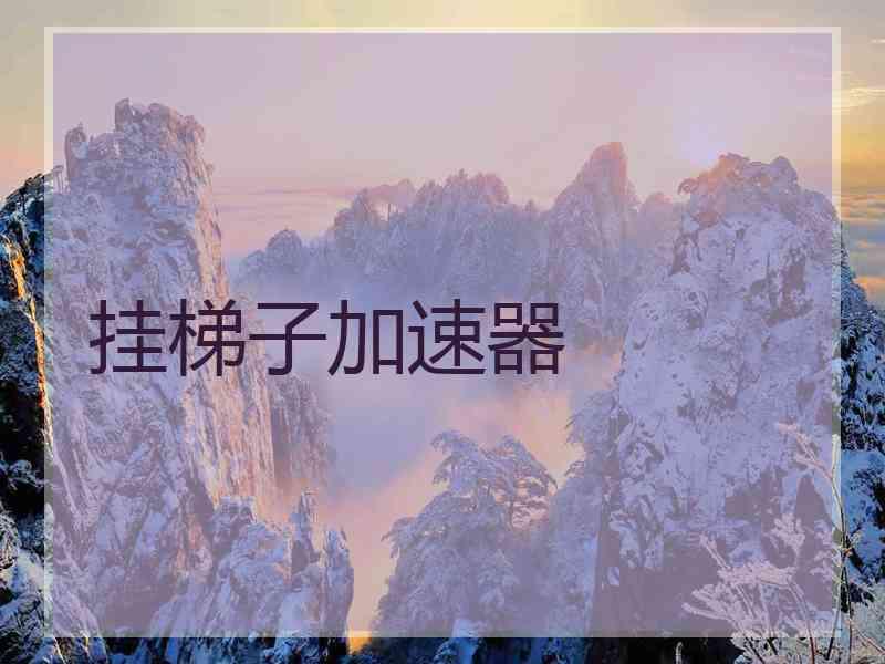 挂梯子加速器