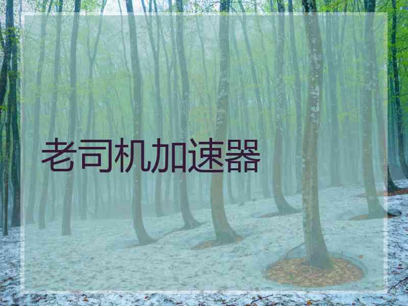 老司机加速器