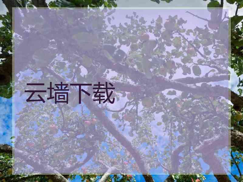 云墙下载