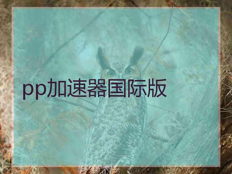 pp加速器国际版