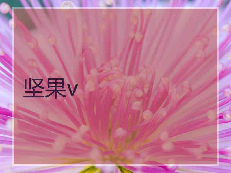 坚果v