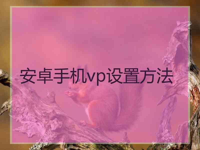 安卓手机vp设置方法
