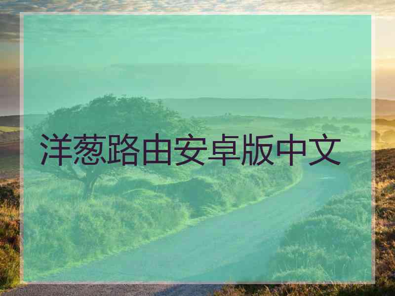 洋葱路由安卓版中文
