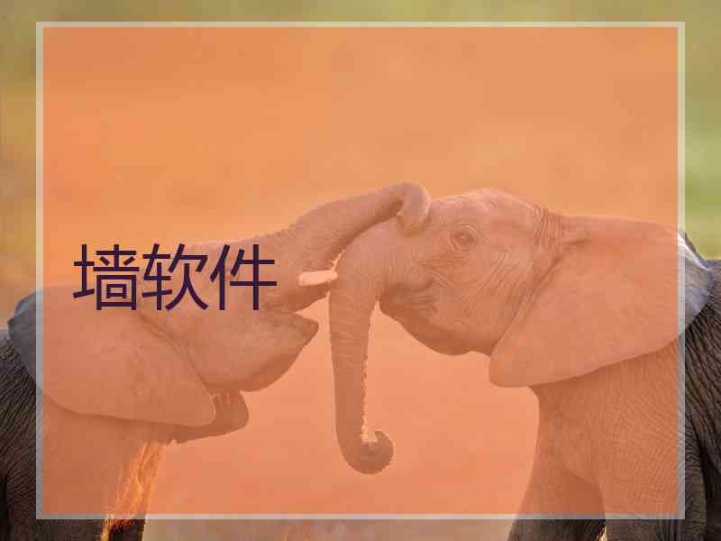 墙软件