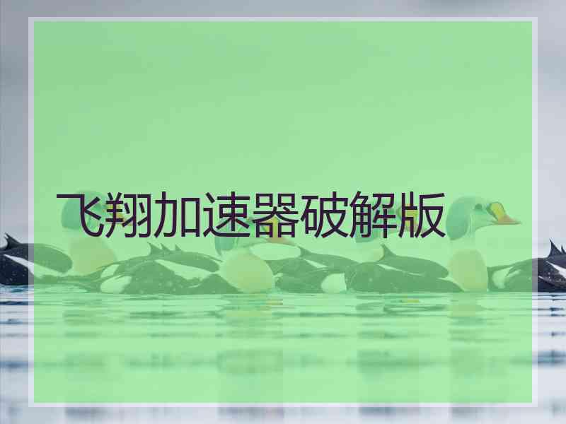 飞翔加速器破解版