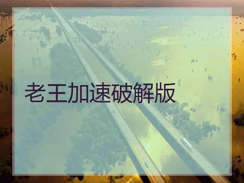 老王加速破解版