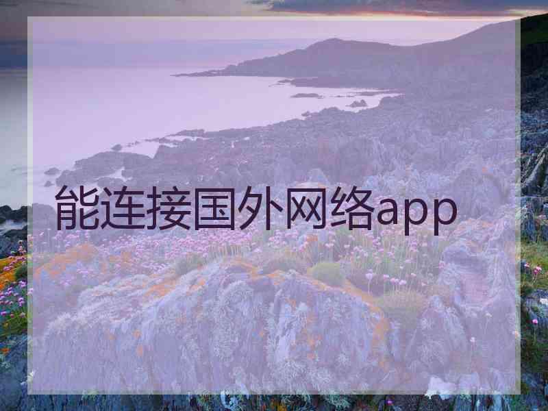 能连接国外网络app