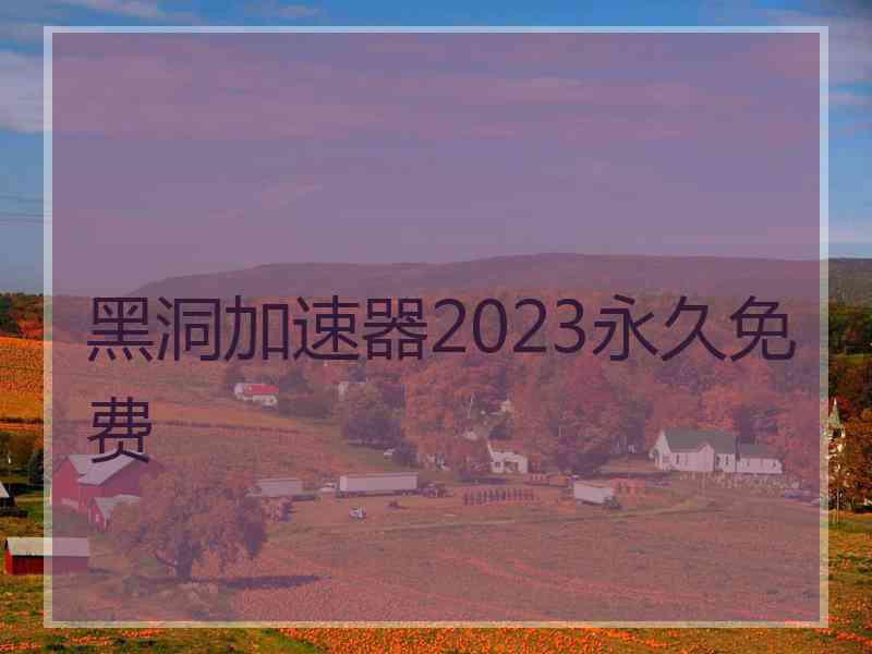 黑洞加速器2023永久免费