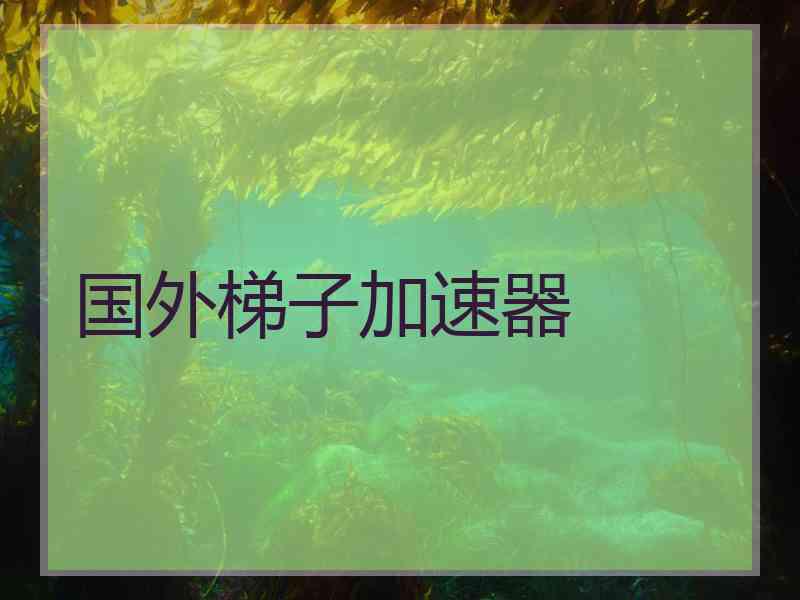 国外梯子加速器