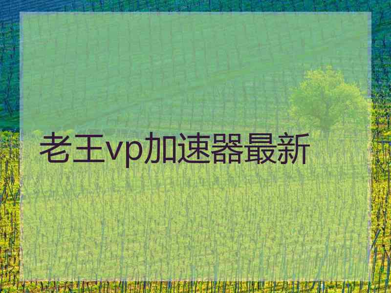 老王vp加速器最新