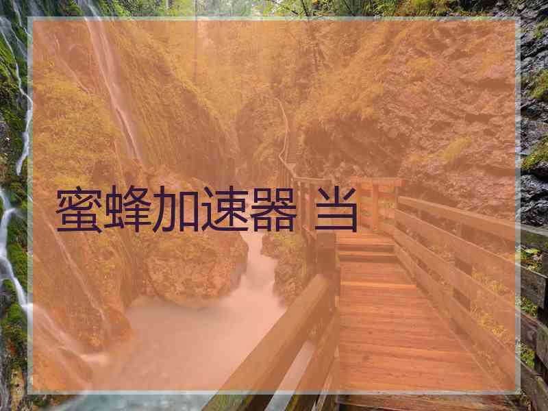 蜜蜂加速器 当
