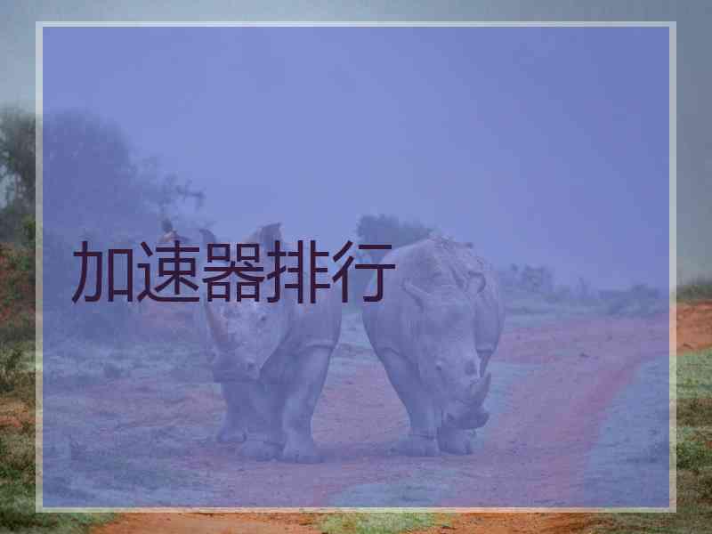 加速器排行