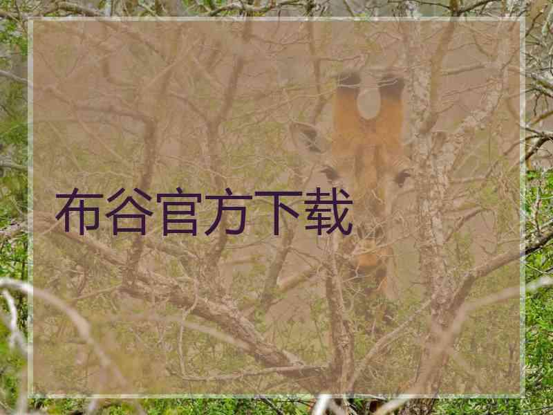 布谷官方下载